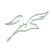 Chaîne Induction Dinner 2025